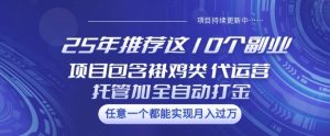 25年推荐这10个副业项目包含褂鸡类、代运营托管类、全自动打金类【揭秘】-甬战资源库