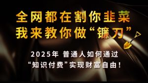 全网都在割你韭菜，我来教你做镰刀,2025普通人如何通过知识付费，实现财F自由【揭秘】-甬战资源库