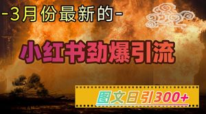 小红书超劲爆引流手段，图文日引300+轻松变现1W-甬战资源库
