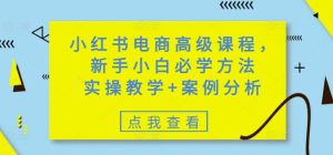 小红书电商高级课程,新手小白必学方法,实操教学+案例分析-甬战资源库