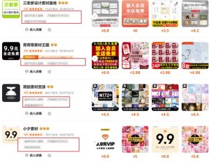 0成本虚拟项目实战手把手教你落地，单店月入5k-甬战资源库