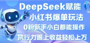 DeepSeek赋能小红书爆单玩法0粉新手小白都能操作，执行力跟上收益轻松上W，懒人勿做-甬战资源库
