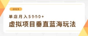 虚拟项目垂直玩法，实现单店月入5k+-甬战资源库
