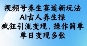 视频号养生赛道新玩法，AI古人养生操，疯狂引流变现，操作简单，单日变现多张-甬战资源库