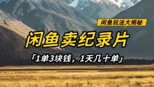 闲鱼卖纪录片1单3块钱，1天几十单，项目稳定有潜力-甬战资源库