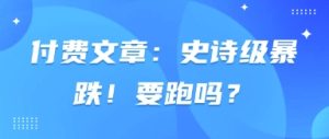 付费文章：史诗级暴跌！要跑吗？-甬战资源库