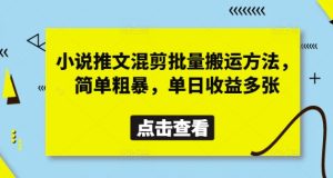 小说推文混剪批量搬运方法，简单粗暴，单日收益多张-甬战资源库