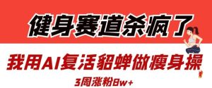健身赛道杀疯了？我用AI复活貂蝉做瘦身操，3周涨粉8W-甬战资源库