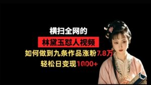 横扫全网的林黛玉怼人视频，如何做到九条作品涨粉7.8万，轻松日变现1k-甬战资源库