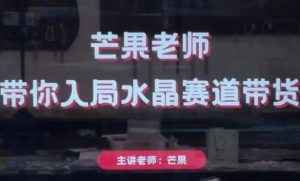 芒果老师·带你入局水晶赛道带货，助你开启水晶直播带货事业-甬战资源库
