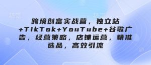 跨境创富实战营，独立站+TikTok+YouTube+谷歌广告，经营策略，店铺运营，精准选品，高效引流-甬战资源库