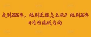走到2025年，短剧还能怎么玩？短剧25年4月份搞钱方向-甬战资源库