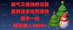 解气又挣钱的项目，最新违章拍照挣钱，随手一拍，轻松收入数张【揭秘】-甬战资源库