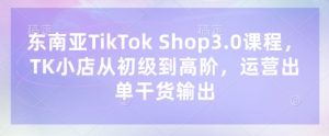 东南亚TikTok Shop3.0课程,TK小店从初级到高阶,运营出单干货输出-甬战资源库