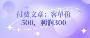付费文章:客单价500,利润300-甬战资源库