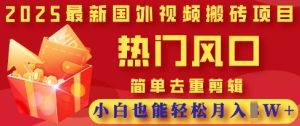 2025最新视频搬砖项目，热门风口，简单去重剪辑，小白也能轻松月入过W-甬战资源库