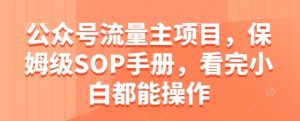 公众号流量主项目,保姆级SOP手册,看完小白都能操作-甬战资源库