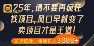 什么？25年你还在疯狂找项目做，醒醒吧，看完这些你全都懂了【揭秘】-甬战资源库