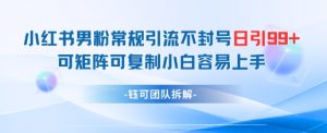 小红书男粉常规引流不封号日引99+变现简单 可矩阵可复制小白容易上手-甬战资源库
