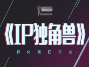 IP独角兽,孵化网红企业,ip教程-甬战资源库