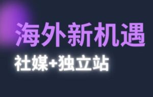 2025出海新机遇(社媒+独立站)，海外新机遇，实现独立站的高效运营与出海-甬战资源库