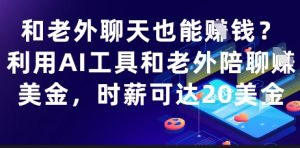和老外聊天也能挣钱？利用AI工具和老外陪聊挣美金，时薪可达20刀-甬战资源库