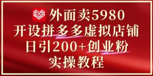 外面卖5980开设拼多多虚拟店铺:单日引流200+创业付费粉实战教程-甬战资源库