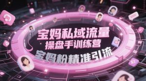 宝妈私域流量操盘手训练营，宝妈粉精准引流-甬战资源库