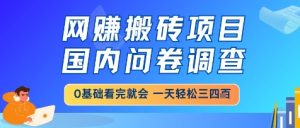 网创搬砖项目,国内问卷调查,小白轻松上手,一天三四张的也不难,干就完了【揭秘】-甬战资源库