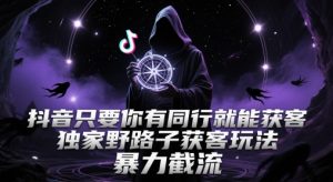 抖音只要你有同行就能获客，独家野路子获客玩法，暴力截流【揭秘】-甬战资源库