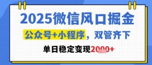 2025微信风口掘金,公众号+小程序双管齐下,单日稳定变现1k+【揭秘】-甬战资源库