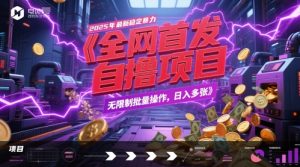 全网首发，2025年最新稳定暴力全自动自撸项目，无限制批量操作，日入多张【揭秘】-甬战资源库
