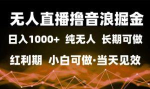 无人直播撸音浪掘金，日入1k+，纯无人红利期，小白可做，当天见效【揭秘】-甬战资源库