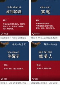 抖音最新涨粉玩法，图文方言暴力涨粉实操，126作品涨粉11W-甬战资源库