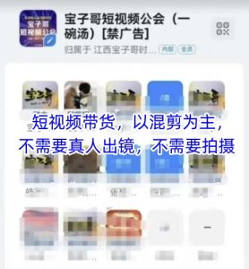 宝子哥头部团队短视频带货,以混剪为主,不需要真人出镜,不需要拍摄【更新】-甬战资源库