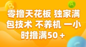 零撸天花板，独家满包技术 不养机 一小时撸满50+【揭秘】-甬战资源库