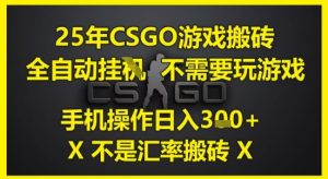 25年CSGO游戏搬砖,全自动运行,不需要玩游戏,手机操作日入3张(不是汇率搬砖)【揭秘】-甬战资源库