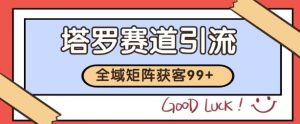 小红书某音塔罗赛道引流获客 自热矩阵日引200+【揭秘】-甬战资源库