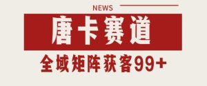小红书某音唐卡赛道引流获客 自热矩阵日引200+【揭秘】-甬战资源库