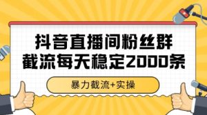 抖音直播间粉丝群暴力截流，一台电脑每天稳定2000条数据【揭秘】-甬战资源库