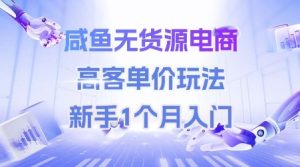 咸鱼无货源电商，高客单价玩法，新手1个月入门-甬战资源库