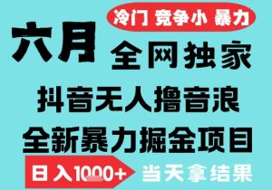 2025年6月高爆抖音无人直播最新撸音浪掘金项目，无脑日入1k+，低门槛小白可做，可矩阵放大【揭秘】-甬战资源库