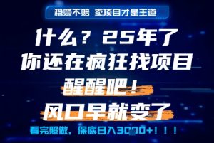 什么？25年你还在疯狂找项目做，醒醒吧，看完这些你全都懂了！【揭秘】-甬战资源库