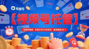 【视频号托管 】我提供视频,你每天花5分钟发布,最高躺挣2W+【揭秘】-甬战资源库