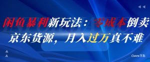 闲鱼暴利新玩法：零成本倒卖京东货源，月入过1W真不难-甬战资源库