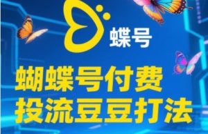 2025蝴蝶号付费投流豆豆打法，助新手快速掌握付费流量撬动自然流的核心玩法-甬战资源库