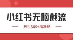 小红书截流同行客源，独家野路子获客玩法 日引200+暴力获客【揭秘】-甬战资源库