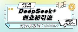 DeepSeek+创业粉精准引流，全新分享课4.0玩法，AI矩阵日引300+，多种变现方式，稳定月入1W-甬战资源库